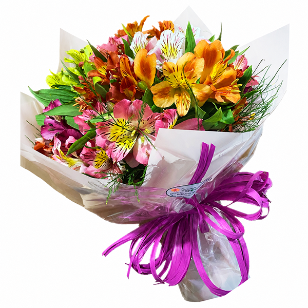 Buqu� De Astrom�lias Com 20 Hastes