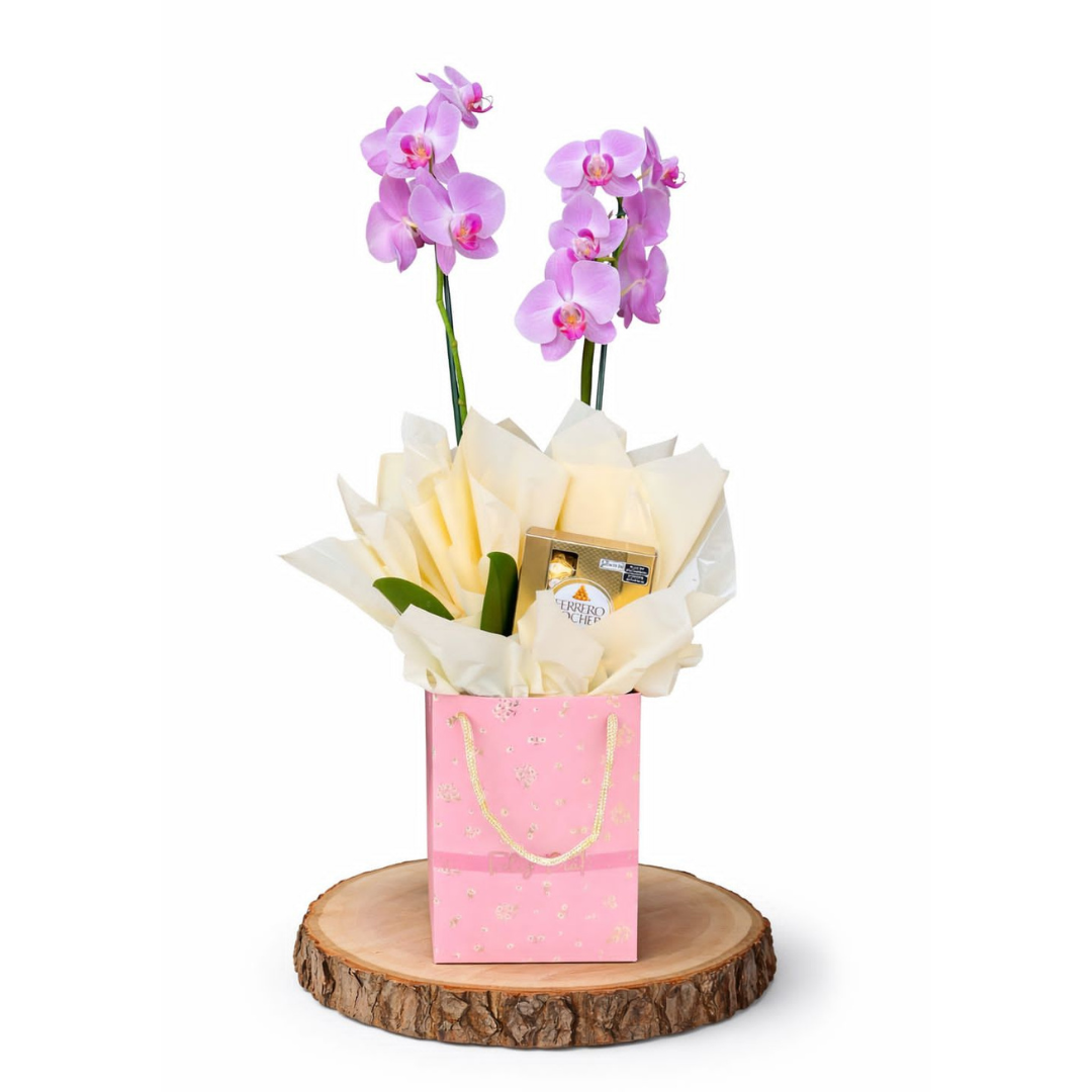 Orquidea com chocolate feliz dia